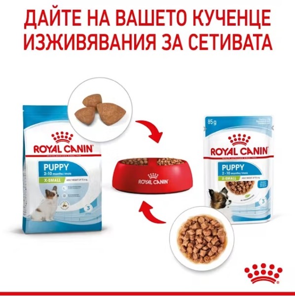 Royal Canin X-small Puppy Pouch - Пълноценна мокра храна за подрастващи кучета от миниатюрни породи до 10 месеца